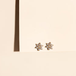 Big Floral Studs - 925 Sterling Silber